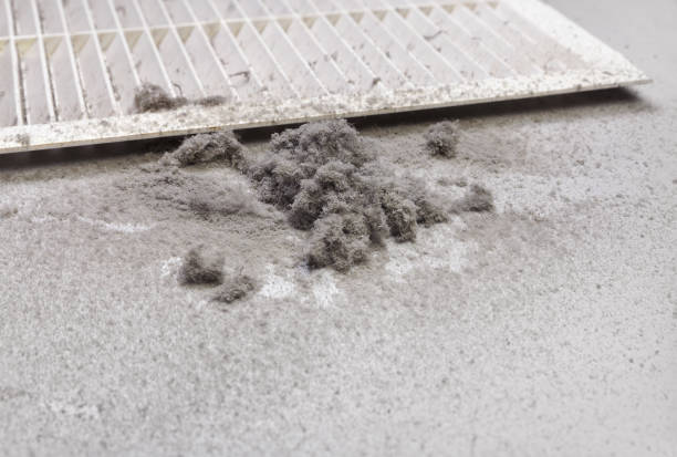 Best Air Duct Cleaning Near Me in Citrus Springs, FL
