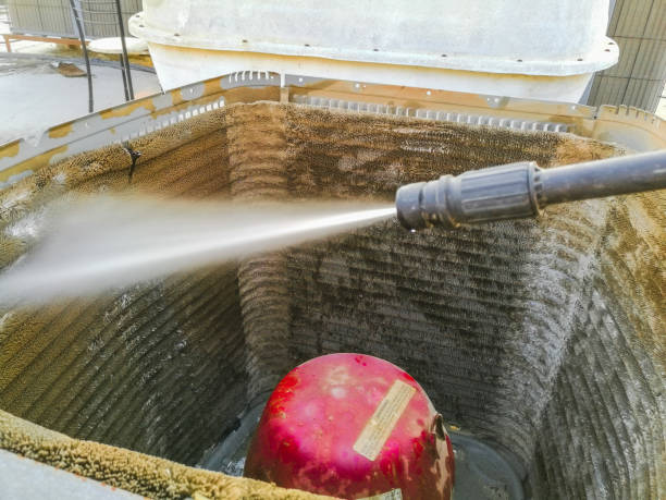 Best Air Duct Sanitizing Services  in Citrus Springs, FL