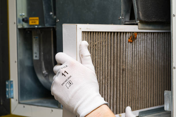 Best General Air Duct Cleaning  in Citrus Springs, FL